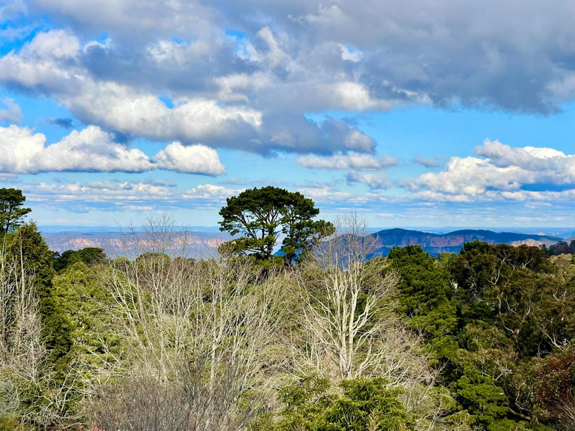 Treetops Retreat